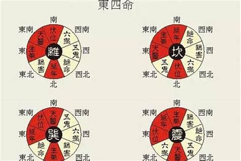 东四命西四命对照表|【收藏备用】东四命西四命速查表：一查便知你是东四。